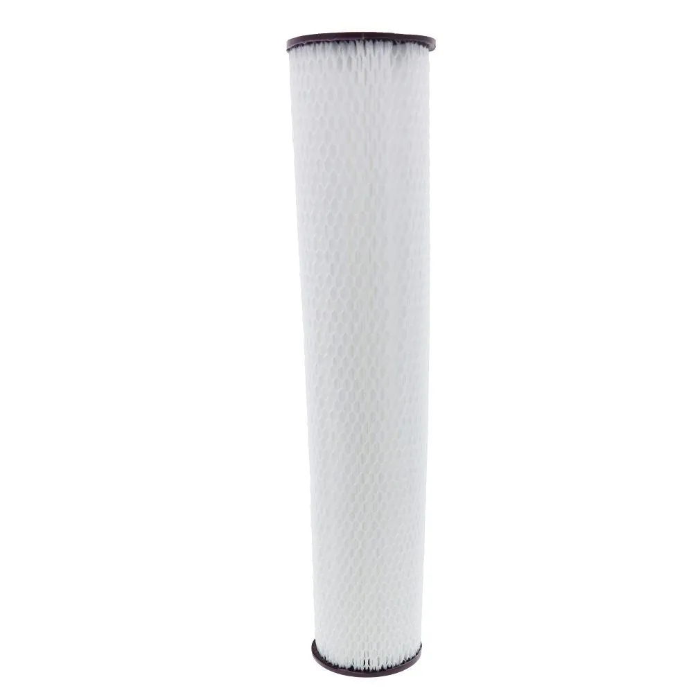 20" x 4-1/2" BB Flow-Max Pleated - 1 mic Absolute Cyst Filter