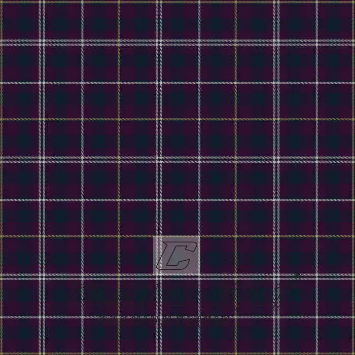 Henbury Premium Tartan Kilt