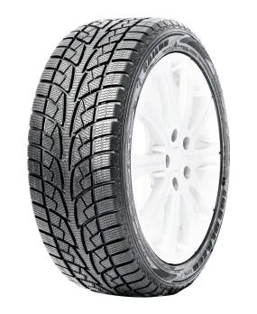 Ice Blazer WSL2 - 175/65R14 82T