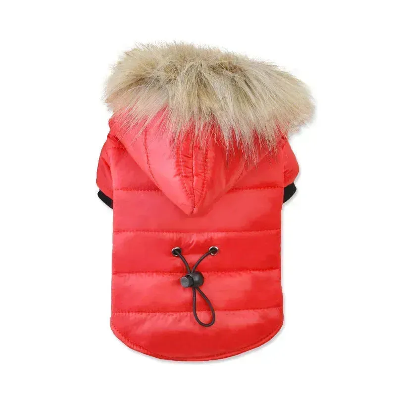 Pet Winter Jacket dog cat autumn warm coat pet hoodies faux fur jacket for pet